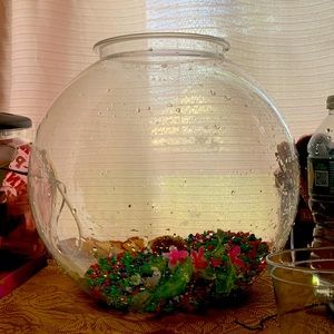 This tank was too big for my one fish